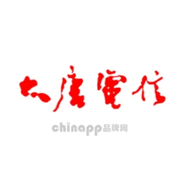 大唐电信