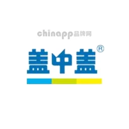 盖中盖
