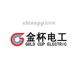 金杯电工