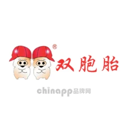 双胞胎