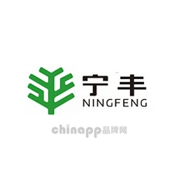 宁丰