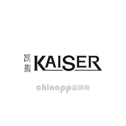 凯撒kaiser