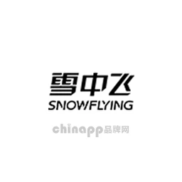 雪中飞SnowFlying