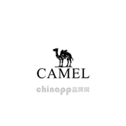 CAMEL骆驼