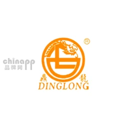 鼎龙股份DINGLONG