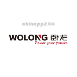 卧龙电气WOLONG