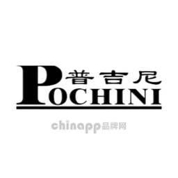 普吉尼POCHINI
