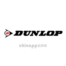 邓禄普DUNLOP