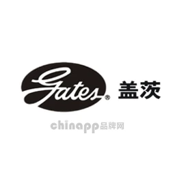 盖茨gates