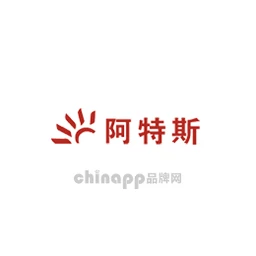 阿特斯CSI