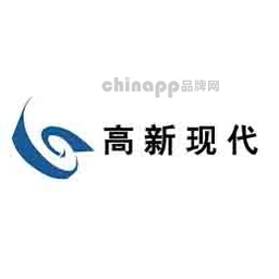 高新现代