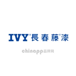 IVY长春藤