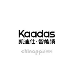 凯迪仕KAADAS