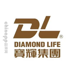 宝辉DL