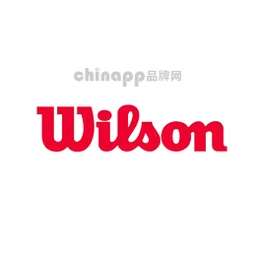 威尔胜Wilson