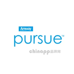 必速pursue