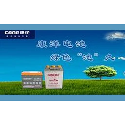 Cane康洋