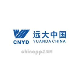 CNYD远大