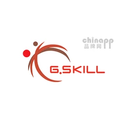 芝奇GSKILL