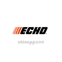 爱可ECHO