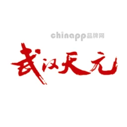 天元TianYuan