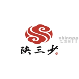 陕三少肉夹馍