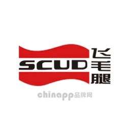 飞毛腿SCUD