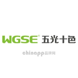 WGSE五光十色