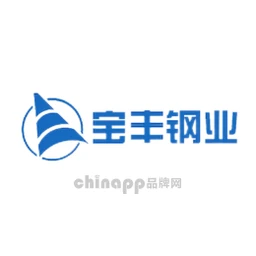 宝丰钢业