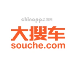 大搜车