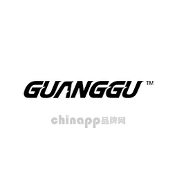 光谷GUANGGU