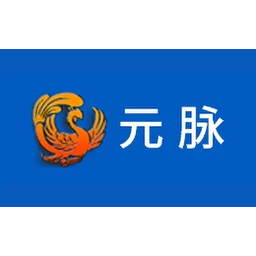 元脉