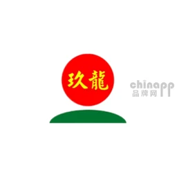 玖龙
