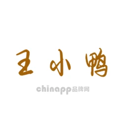 王小鸭