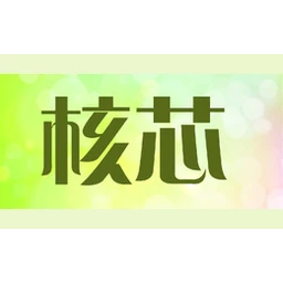 核芯