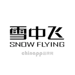 雪中飞Snow Flying