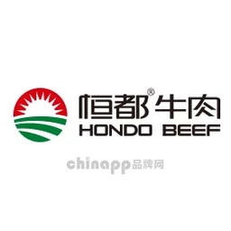 恒都HONDO