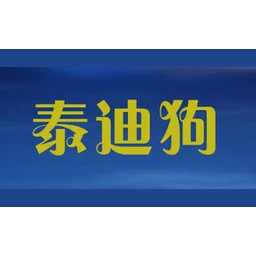 泰迪狗