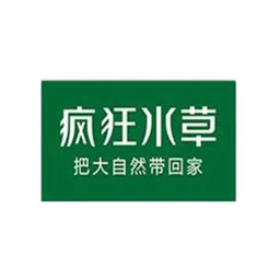 疯狂水草