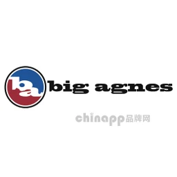 Big Agnes