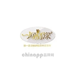 一网情深