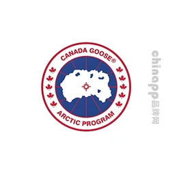 加拿大鹅Canada Goose