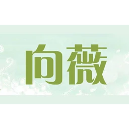 向薇