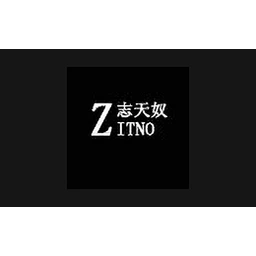志天奴
