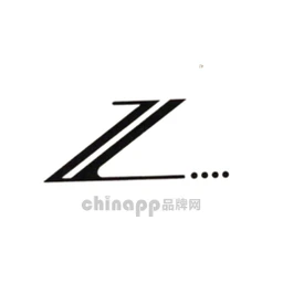 中联电子