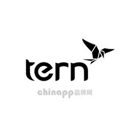 燕鸥Tern