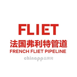 法国弗利特管道