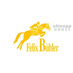 飞力镖马FelixBuhler