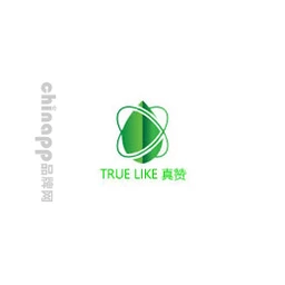 真赞
