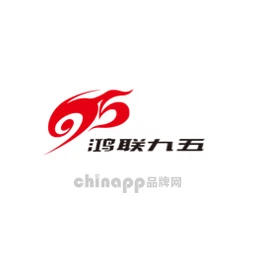 鸿联九五